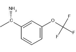 (S)-1-(3-(Trifluoromethoxy)phenyl)ethan-1-amine, 1228542-85-5, undefined, 