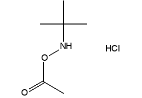O-Acetyl-N-(tert-butyl)hydroxylamine hydrochloride, 851074-40-3, undefined, 