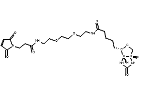 Biotin-PEG2-Mal, 305372-39-8, undefined, 