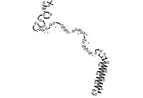 2,2-Dimethyl-4-oxo-3,8,11,14,17,20,23,26,29,32,35,38,41,44,47,50,53,56,59,62,65,68,71,74,77-pentacosaoxa-5-azaoctacontan-80-oic acid
