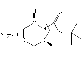 endo-3-Aminomethyl-8-boc-8-azabicyclo[3.2.1]octane, 273376-40-2, undefined, 
