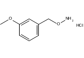 O-(3-methoxybenzyl)hydroxylamine hydrochloride, 3839-39-2, undefined, 