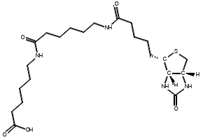 Biotin-C5-amino-C5-amino, 89889-51-0, undefined, 