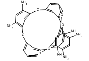 4,6,16,18,31,33-Hexamino-2,8,14,20,29,35-hexaoxabicyclocalix[4]arene, 2485713-47-9, undefined, 