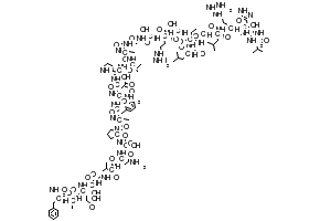 (S)-4-((S)-2-(2-((S)-2-((S)-2-((2S,3R)-2-((S)-1-(L-Valyl-L-threonyl-L-histidyl-L-arginyl-L-leucyl-L-alanylglycyl-L-leucyl-L-leucyl-L-seryl-L-arginyl-L-serylglycylglycyl-L-valyl-L-valyl-L-lysyl-L-aspartyl-L-asparaginyl-L-phenylalanyl-L-valyl)pyrrolidine-2-carboxamido)-3-hydroxybutanamido)-4-amino-4-oxobutanamido)-3-methylbutanamido)acetamido)-3-hydroxypropanamido)-5-(((S)-1-(((S)-1-amino-1-oxo-3-phenylpropan-2-yl)amino)-1-oxopropan-2-yl)amino)-5-oxopentanoic acid