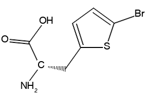 (S)-2-Amino-3-(5-bromothiophen-2-yl)propanoic acid, 154593-58-5, undefined, 