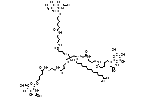 1-(((2R,3R,4R,5R,6R)-3-Acetamido-4,5-dihydroxy-6-(hydroxymethyl)tetrahydro-2H-pyran-2-yl)oxy)-16,16-bis((3-((3-(5-(((2R,3R,4R,5R,6R)-3-acetamido-4,5-dihydroxy-6-(hydroxymethyl)tetrahydro-2H-pyran-2-yl)oxy)pentanamido)propyl)amino)-3-oxopropoxy)methyl)-5,11,18-trioxo-14-oxa-6,10,17-triazanonacosan-29-oic acid