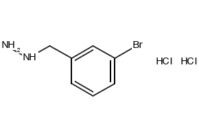 (3-Bromobenzyl)hydrazine dihydrochloride, 1349715-79-2, undefined, 