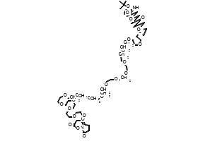 t-Boc-N-amido-PEG20-NHS ester