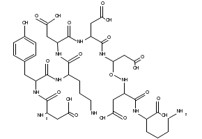 FLAG peptide, 98849-88-8, undefined, 