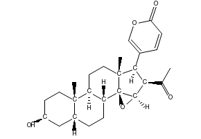 Cinobufagin, 470-37-1, undefined, 