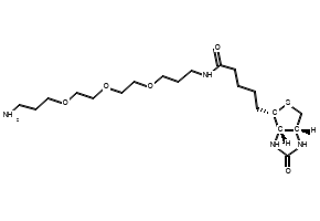 Biotin-PEG3-C3-NH2, 183896-00-6, undefined, 