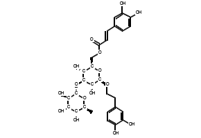 Isoacteoside