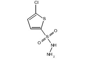 5-Chlorothiophene-2-sulfonohydrazide, 78380-28-6, undefined, 