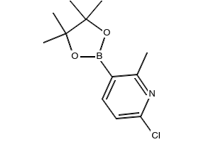 6-Chloro-2-methyl-3-(4,4,5,5-tetramethyl-1,3,2-dioxaborolan-2-yl)pyridine, 1436866-79-3, undefined, 