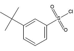 3-(tert-Butyl)benzene-1-sulfonyl chloride, 2905-26-2, undefined, 