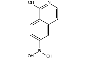 (1-Oxo-1,2-dihydroisoquinolin-6-yl)boronic acid, 376584-82-6, undefined, 