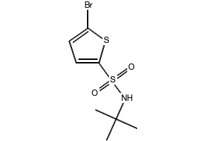 N-tert-Butyl 5-bromo-2-thiophenesulfonamide, 286932-39-6, undefined, 