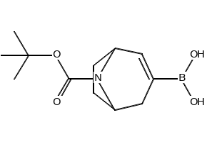 (8-(tert-Butoxycarbonyl)-8-azabicyclo[3.2.1]oct-2-en-3-yl)boronic acid, 2170565-36-1, undefined, 