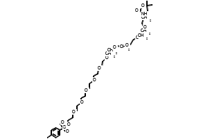 2,2-Dimethyl-4-oxo-3,8,11,14,17,20,23,26,29,32,35-undecaoxa-5-azaheptatriacontan-37-yl 4-methylbenzenesulfonate, 1556847-56-3, undefined, 