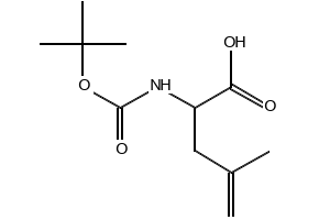 2-((tert-Butoxycarbonyl)amino)-4-methylpent-4-enoic acid, 156047-41-5, undefined, 