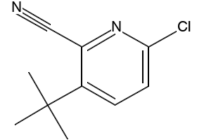 3-(tert-Butyl)-6-chloropicolinonitrile, 2090123-47-8, undefined, 