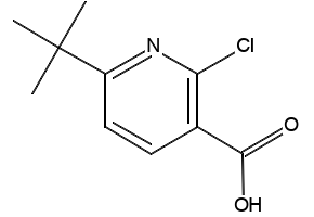 6-(tert-Butyl)-2-chloronicotinic acid, 1211588-66-7, undefined, 