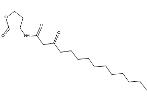 3-Oxo-C14-AHL, 503610-29-5, undefined, 