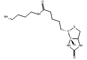Biotin-C4-amide-C5-NH2, 151294-96-1, undefined, 