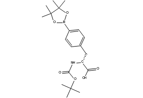 (R)-2-((tert-Butoxycarbonyl)amino)-3-(4-(4,4,5,5-tetramethyl-1,3,2-dioxaborolan-2-yl)phenyl)propanoic acid, 2828446-99-5, undefined, 