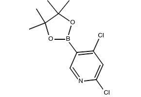 2,4-Dichloro-5-(4,4,5,5-tetramethyl-1,3,2-dioxaborolan-2-yl)pyridine, 1622217-00-8, undefined, 