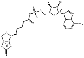 (((2R,3S,4R,5R)-5-(6-Amino-9H-purin-9-yl)-3,4-dihydroxytetrahydrofuran-2-yl)methyl phosphoric) 5-((3aS,4S,6aR)-2-oxohexahydro-1H-thieno[3,4-d]imidazol-4-yl)pentanoic anhydride, 4130-20-5, undefined, 