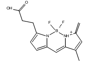 BODIPY-FL, 165599-63-3, undefined, 