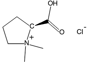 Stachydrine Hydrochloride, 4136-37-2, undefined, 
