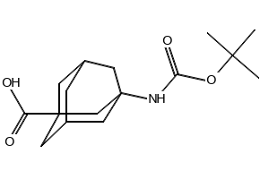 3-((tert-Butoxycarbonyl)amino)adamantane-1-carboxylic acid, 71740-76-6, undefined, 