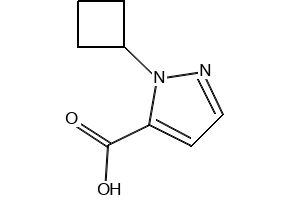 1-Cyclobutyl-1H-pyrazole-5-carboxylic acid, 1556315-61-7, undefined, 