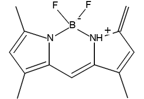 BODIPY 505/515, 21658-70-8, undefined, 