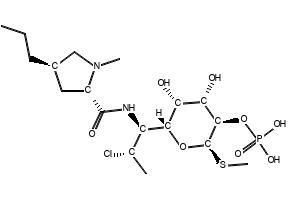 Clindamycin phosphate, 24729-96-2, undefined, 