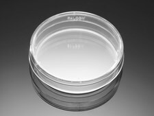 Corning® Falcon® Bacteriological Petri Dish W × H 60 mm × 15 mm, lid, standard, sterile