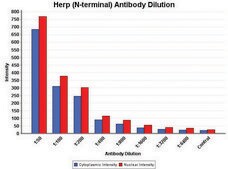 Anti-Herp (N-terminal) antibody produced in rabbit ~1.0 mg/mL, affinity isolated antibody, buffered aqueous solution