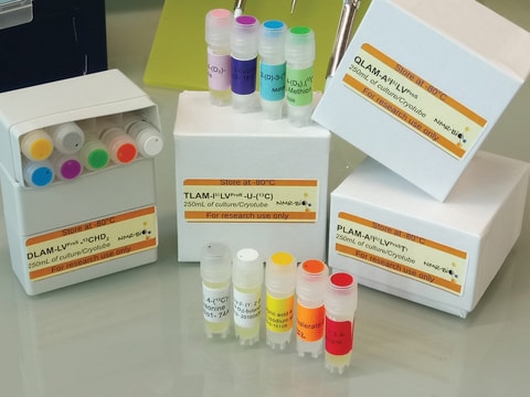 SLAM-I&#948;1-13C5 Methyl Labeling Kit