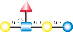 Lacto-N-fucopentaose III from human milk, ≥95% (HPAE)