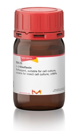 (&#8722;)-核黄素 BioReagent, suitable for cell culture, suitable for insect cell culture, &#8805;98%