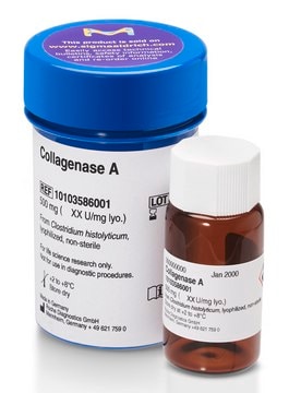 Collagenase A from Clostridium histolyticum