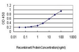 Monoclonal Anti-TXNL1 antibody produced in mouse clone 1A10, purified immunoglobulin, buffered aqueous solution