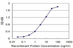 ANTI-RCV1 antibody produced in mouse clone 5A6, purified immunoglobulin, buffered aqueous solution