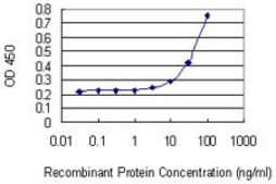 Monoclonal Anti-CDC2L6, (N-terminal) antibody produced in mouse clone 3D7, purified immunoglobulin, buffered aqueous solution