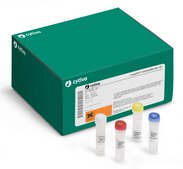 TempliPhi™ 100 Amplification Kit Cytiva 25-6400-10