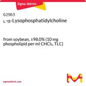 L-α-溶血磷脂酰胆碱 from soybean, ≥98.0% (10 mg phospholipid per ml CHCl3, TLC)