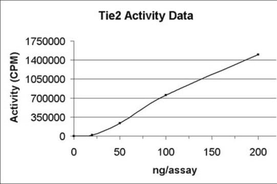 Tie2 Protein, active, 10 &#181;g Active, N-terminal His6-tagged recombinant human Tie2 residues 771-end, for use in Kinase Assays.